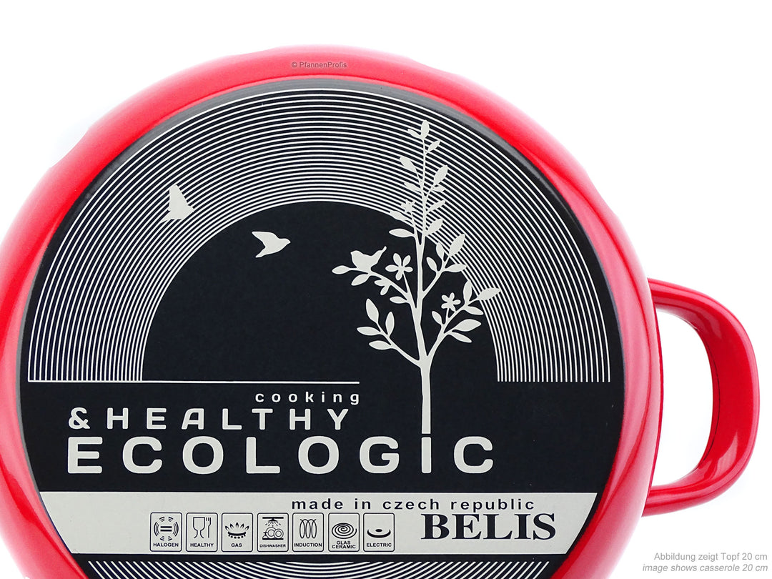 BELIS steel enamel stockpot DOTS 24 cm 8 liters
