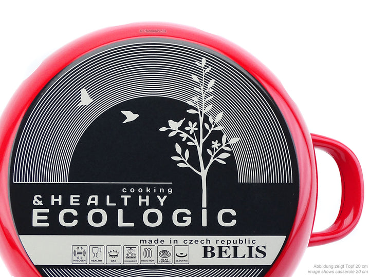 BELIS steel enamel stockpot DOTS 24 cm 8 liters