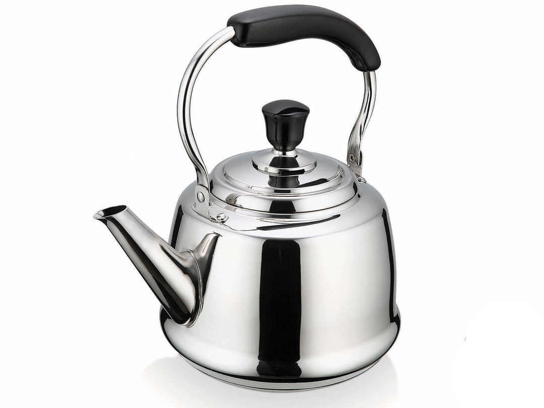 nostalgia stainless steel kettle induction large –