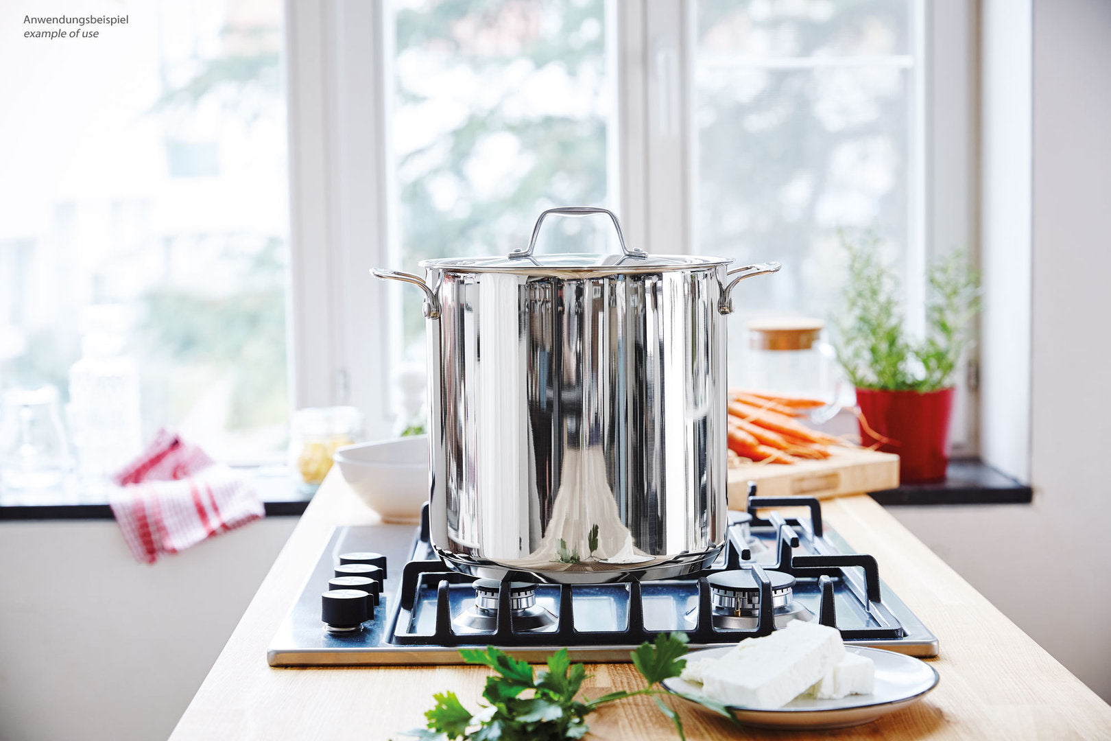 Wellberg hotsell pressure cooker