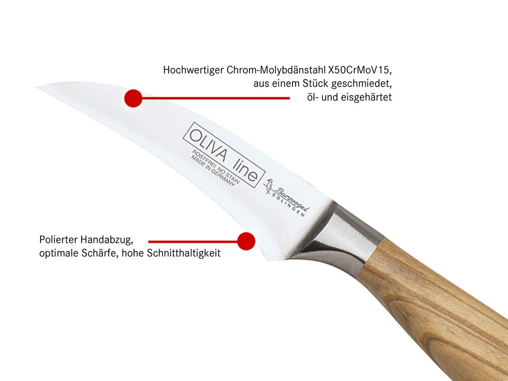 BURGVOGEL Solingen Tourniermesser OLIVA LINE 7 cm geschmiedet Holzgriff