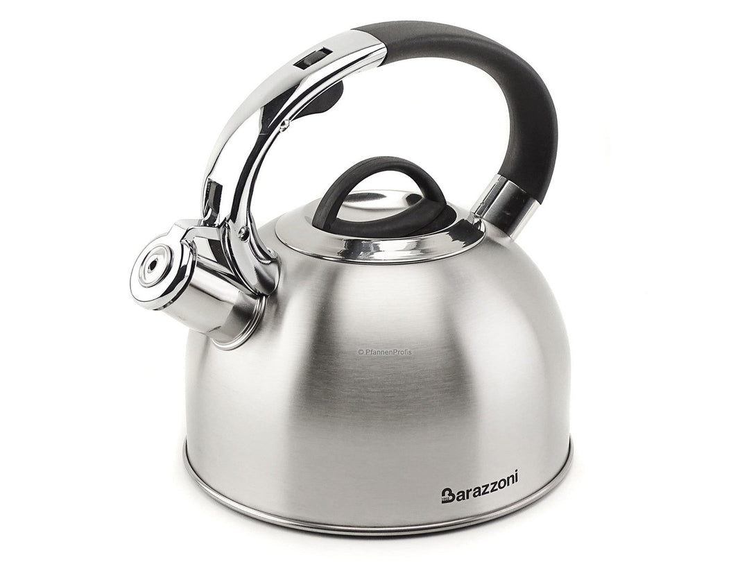 Satin finish whistling kettle 